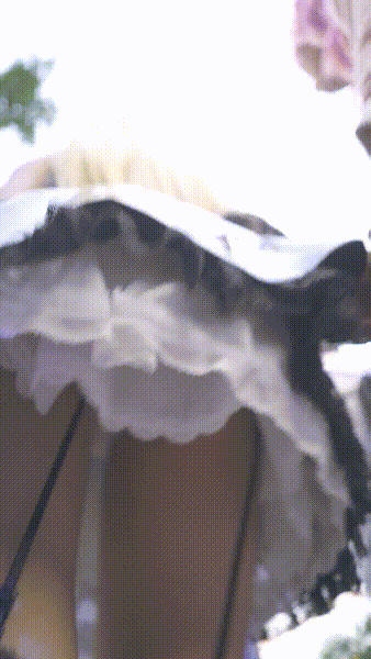 imgi_16_BC-AA-664cos.mp4_20260518_234335