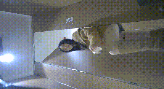 imgi_11_mp4_20260522_190259